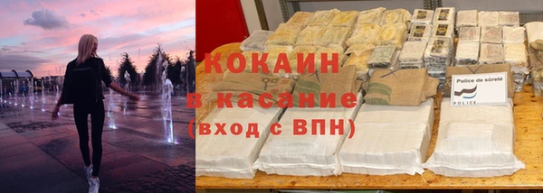 стаф Алексин