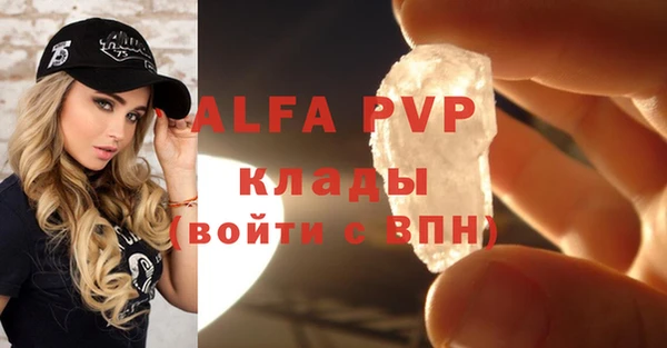 стаф Алексин
