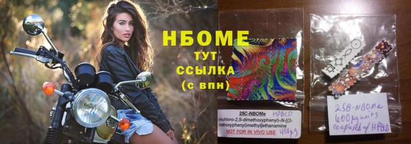 стаф Алексин