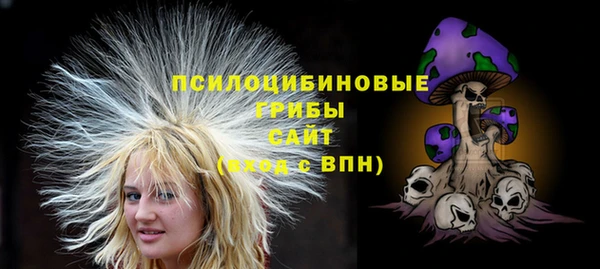 стаф Алексин