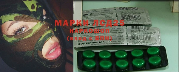 стаф Алексин