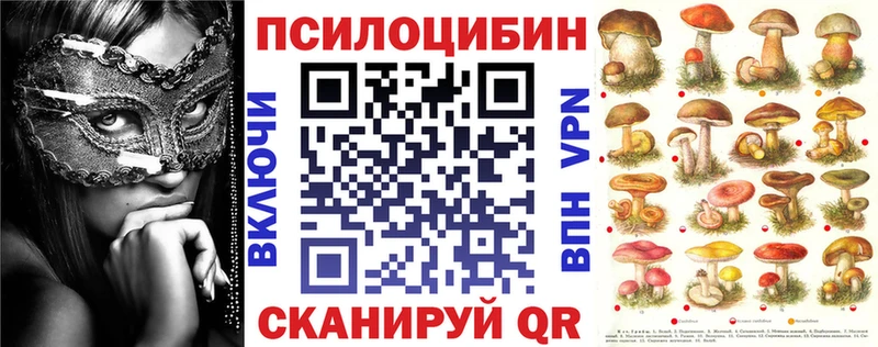 Галлюциногенные грибы мицелий  где можно купить   Пугачёв 